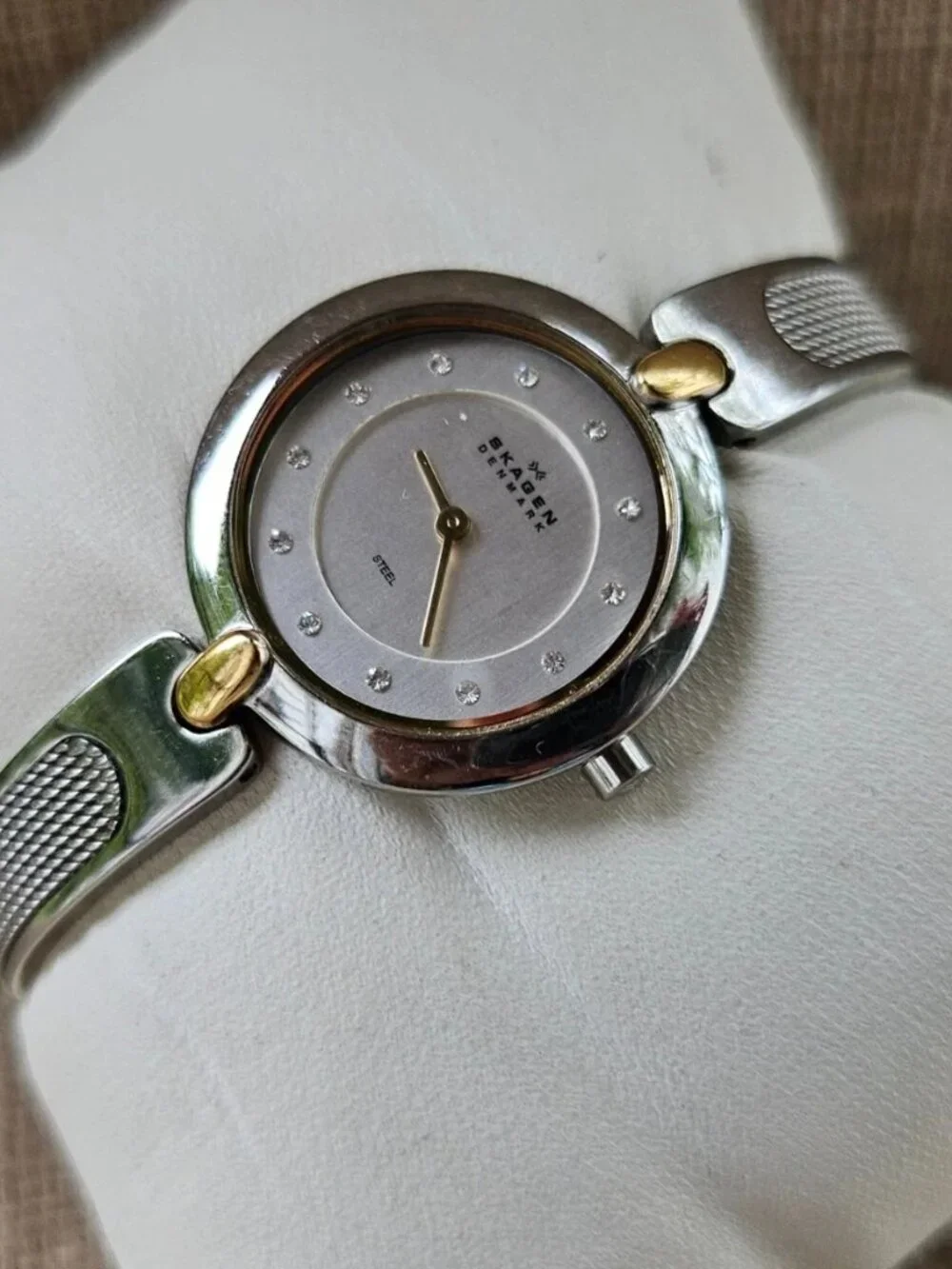 Skagen Denmark Ladies Wristwatch Silver Tone Gold Tone Accent Analog Wrist Watch
